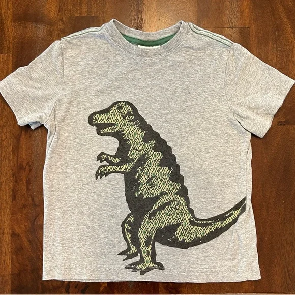 Hanna Andersson Boys Grey Dinosaur T-Shirt, Size 110 (5) Tee, 100% Soft Cotton - Picture 2 of 8